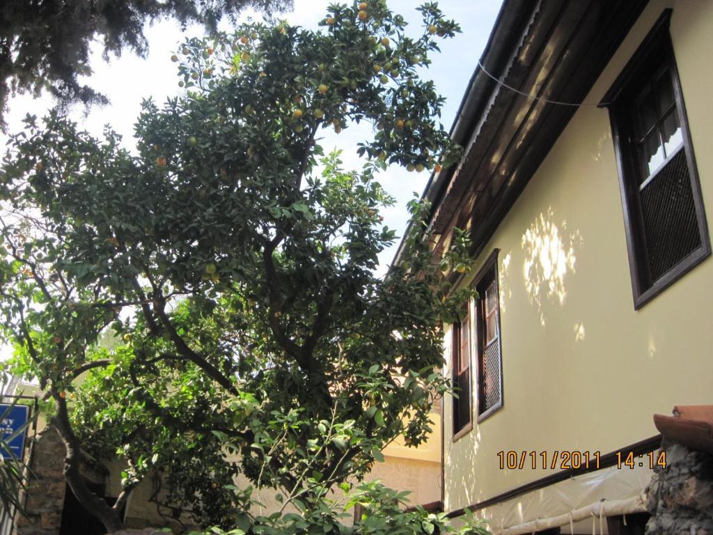 卡莱奇玛丽娜精品酒店-餐厅 安塔利亚 外观 照片